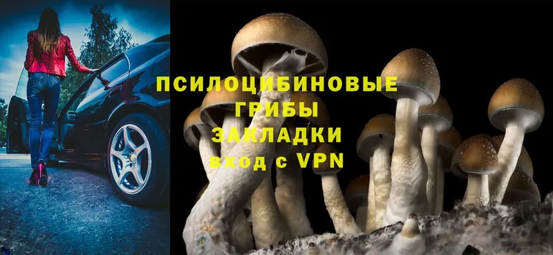 Псилоцибиновые грибы MAGIC MUSHROOMS  Богородск 